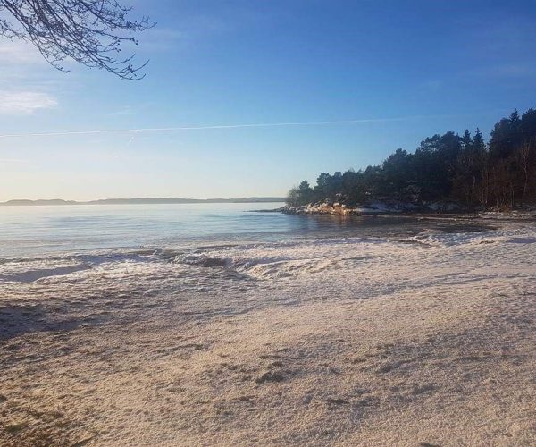 Rødtangen Camping Holmsbuopplevelser