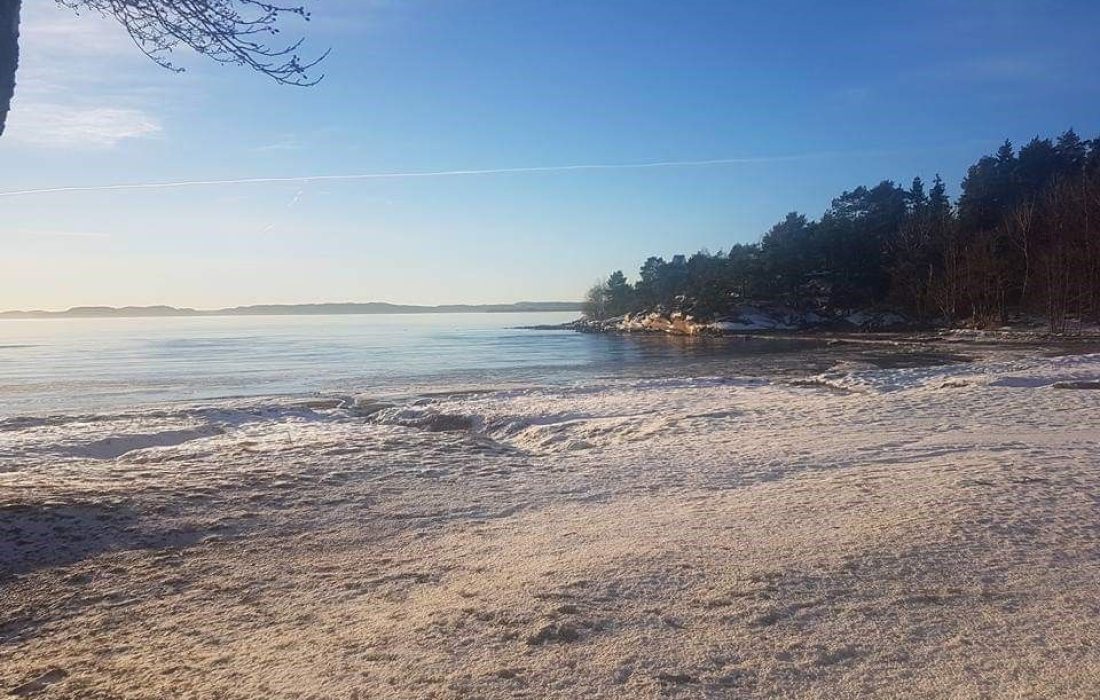 Rødtangen Camping Holmsbuopplevelser