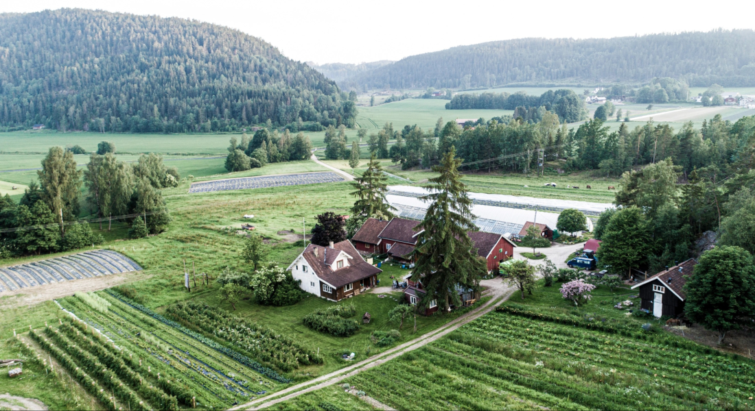 Foto: Bergsmyrene Gård