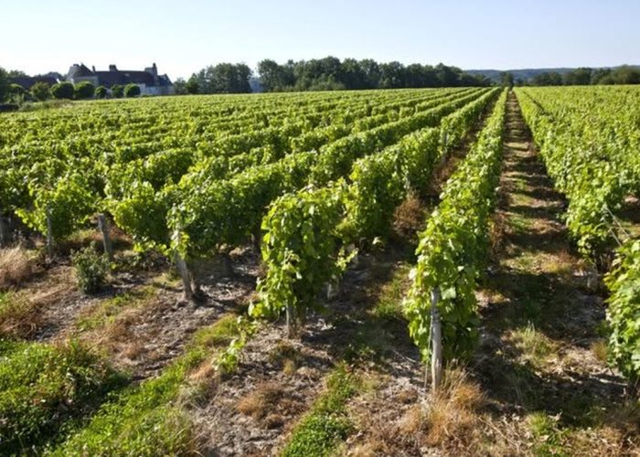 Winemakers Dinner